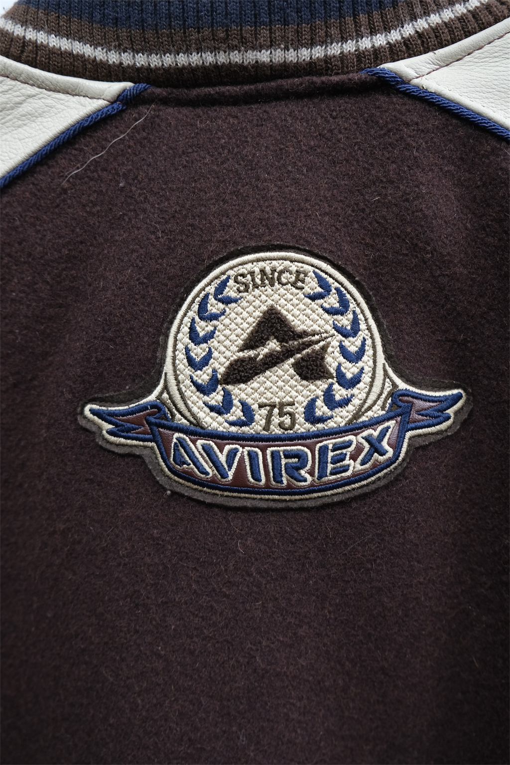 Avirex Varsity Leather Jacket